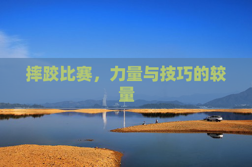 摔跤比赛，力量与技巧的较量