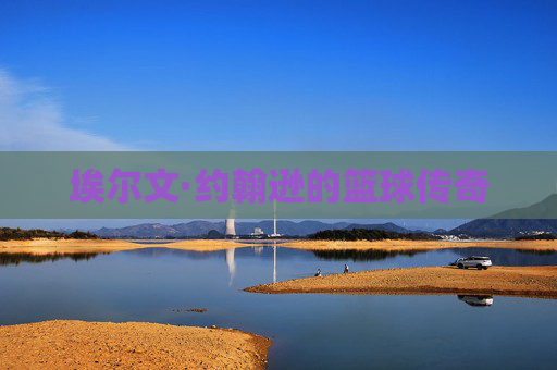 埃尔文·约翰逊的篮球传奇 埃尔文·约翰逊的篮球传奇
