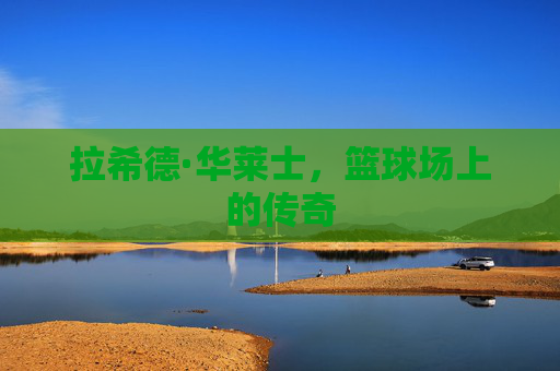 拉希德·华莱士，篮球场上的传奇