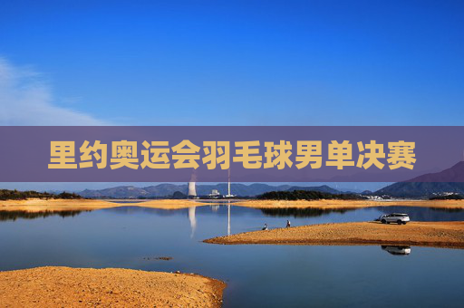 里约奥运会羽毛球男单决赛