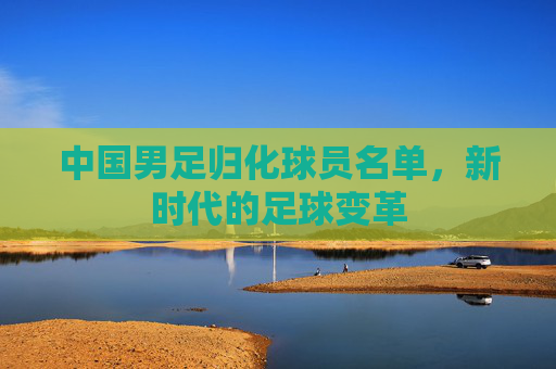 中国男足归化球员名单，新时代的足球变革