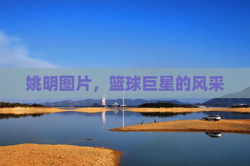 姚明图片，篮球巨星的风采