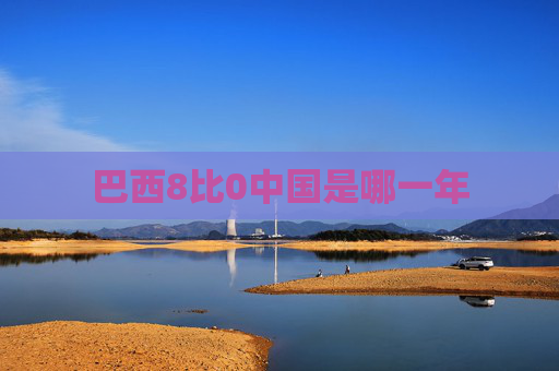 巴西8比0中国是哪一年