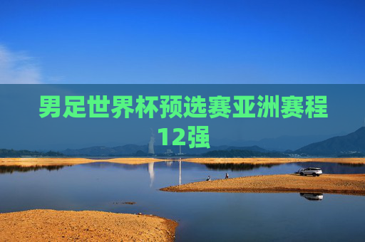 男足世界杯预选赛亚洲赛程12强