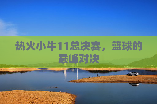 热火小牛11总决赛，篮球的巅峰对决