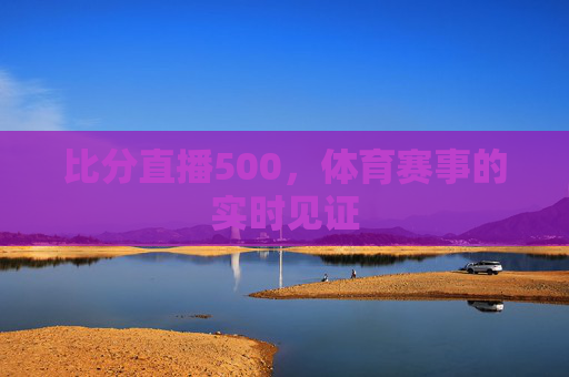 比分直播500，体育赛事的实时见证