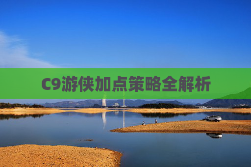 C9游侠加点策略全解析
