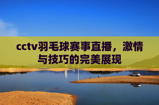 cctv羽毛球赛事直播，激情与技巧的完美展现