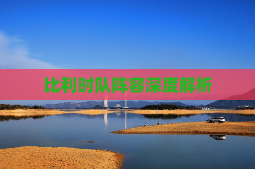 比利时队阵容深度解析