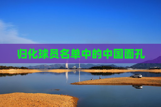 归化球员名单中的中国面孔