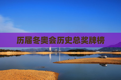 历届冬奥会历史总奖牌榜