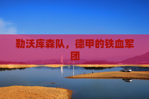 勒沃库森队，德甲的铁血军团