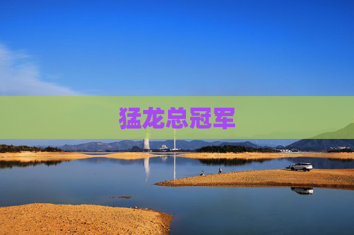 猛龙总冠军 猛龙总冠军