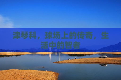 津琴科,球场上的传奇,生活中的智者 津琴科,球场上的传奇,生活中的智者