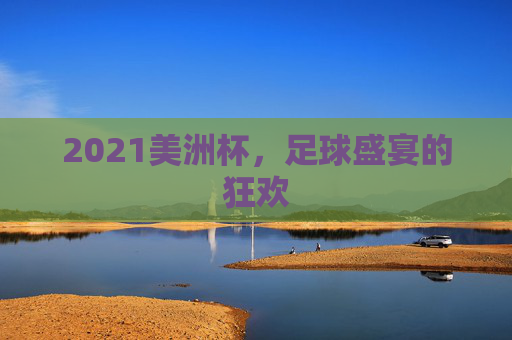 2021美洲杯,足球盛宴的狂欢 2021美洲杯,足球盛宴的狂欢
