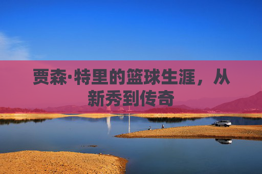 贾森·特里的篮球生涯，从新秀到传奇