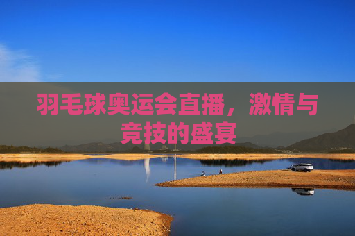 羽毛球奥运会直播，激情与竞技的盛宴