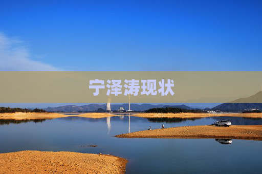 宁泽涛现状