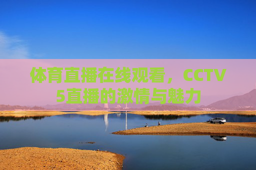 体育直播在线观看，CCTV5直播的激情与魅力