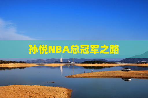 孙悦NBA总冠军之路 孙悦NBA总冠军之路