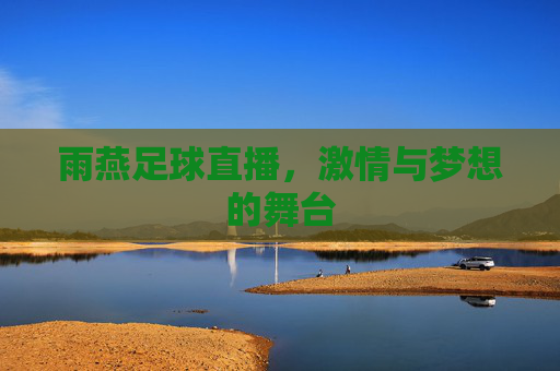 雨燕足球直播,激情与梦想的舞台 雨燕足球直播,激情与梦想的舞台