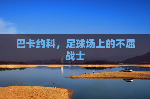 巴卡约科,足球场上的不屈战士 巴卡约科,足球场上的不屈战士