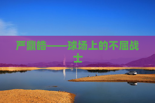 严鼎皓——球场上的不屈战士