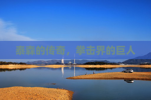 泰森的传奇，拳击界的巨人