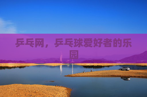 乒乓网，乒乓球爱好者的乐园