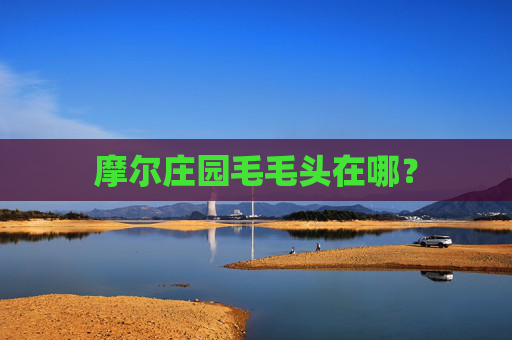 摩尔庄园毛毛头在哪? 摩尔庄园毛毛头在哪?