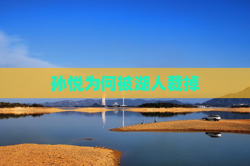 孙悦为何被湖人裁掉
