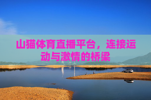 山猫体育直播平台,连接运动与激情的桥梁 山猫体育直播平台,连接运动与激情的桥梁