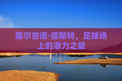 塞尔吉诺·德斯特,足球场上的潜力之星 塞尔吉诺·德斯特,足球场上的潜力之星