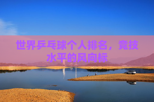 世界乒乓球个人排名，竞技水平的风向标