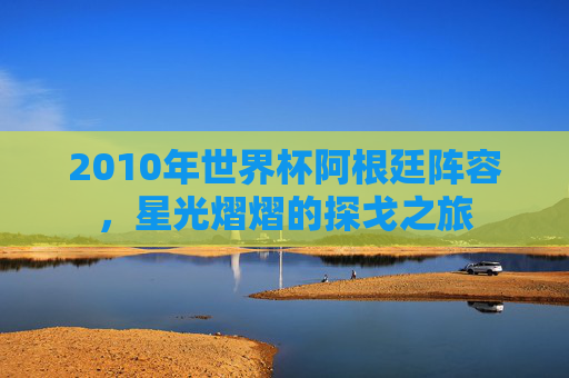 2010年世界杯阿根廷阵容，星光熠熠的探戈之旅