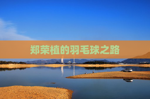 郑荣植的羽毛球之路