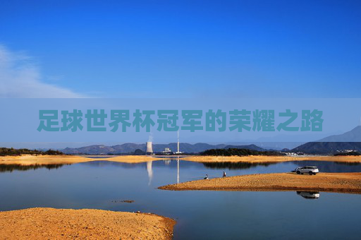 足球世界杯冠军的荣耀之路