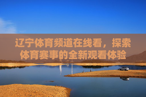 辽宁体育频道在线看，探索体育赛事的全新观看体验