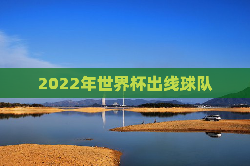 2022年世界杯出线球队 2022年世界杯出线球队