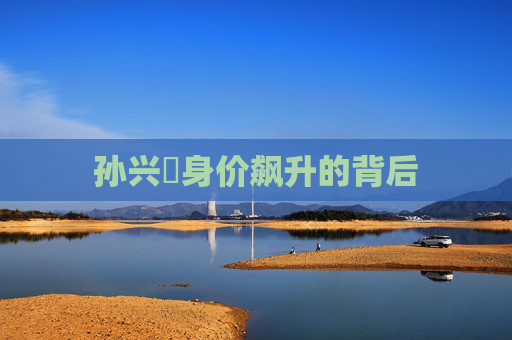 孙兴慜身价飙升的背后