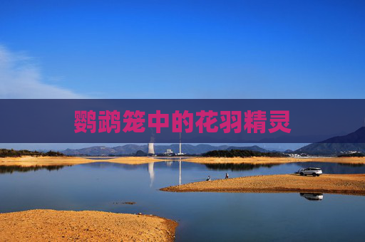 鹦鹉笼中的花羽精灵