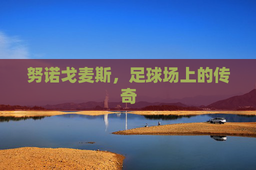 努诺戈麦斯，足球场上的传奇