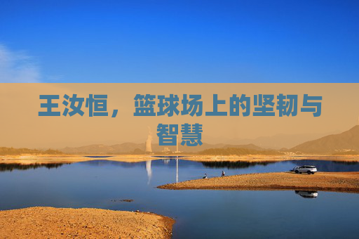 王汝恒，篮球场上的坚韧与智慧