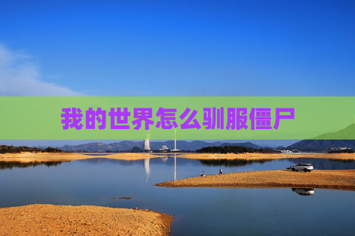 我的世界怎么驯服僵尸