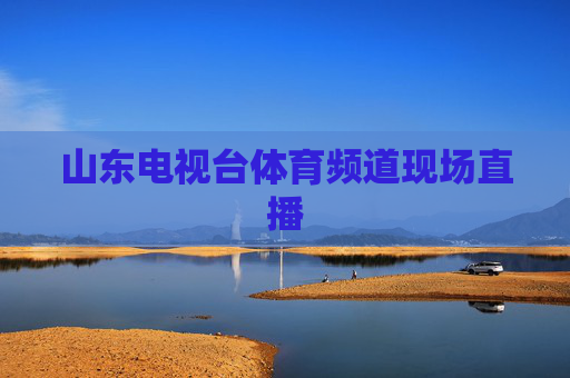 山东电视台体育频道现场直播
