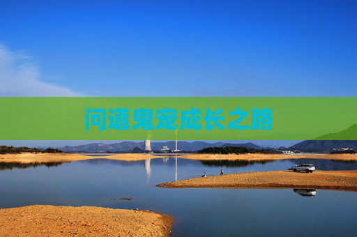 问道鬼宠成长之路