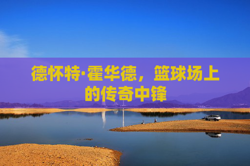 德怀特·霍华德，篮球场上的传奇中锋