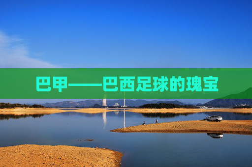 巴甲——巴西足球的瑰宝
