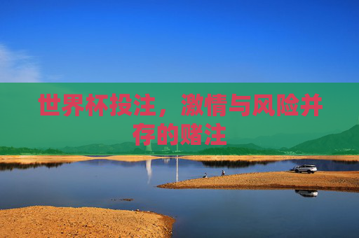 世界杯投注，激情与风险并存的赌注