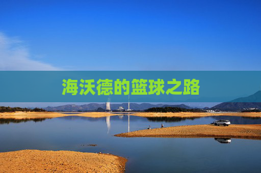 海沃德的篮球之路